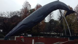 ワイン展に行きました