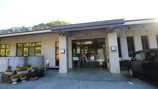 小金沢連嶺をやまと天目山温泉まであるきました。