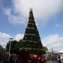 すっかりクリスマスの装いに。