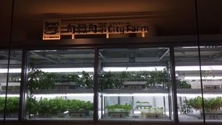 びっくりしました