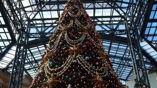ディズニーランドのクリスマスイベント！