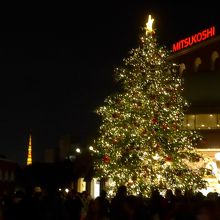 クリスマスツリーと東京タワー
