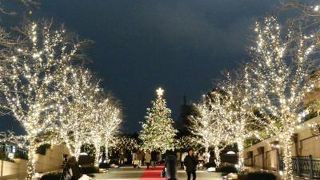 豪華絢爛なシャンデリア！