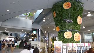 開放的な雰囲気でした