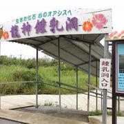 鍾乳洞だけでなく、植物園やミニ動物園も...