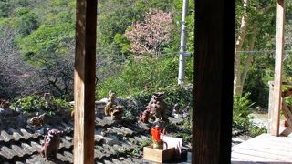 森カフェで癒されて