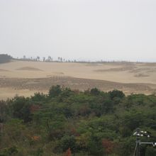 砂丘の景色で〜す。