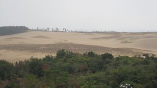 『鳥取砂丘』は、どこまでも続く砂の丘でした。