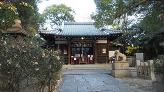 大きくは無いですが、見所の多い神社。