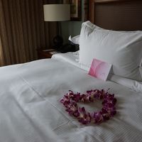 エントランスではレイでお出迎えしてもらい、客室へ