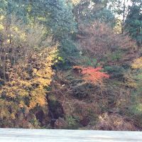 部屋からの眺望