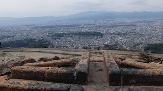 トンビがパンを取っていきました。びっくりぽんです。