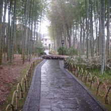 人が少ないのでいい感じです