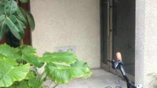 タイ料理ブッフェ