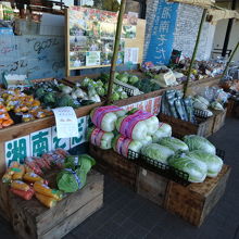 地元の野菜も売られています。