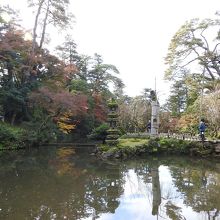 真ん中ら辺が凹んでるの解りますかね？瓢箪型です