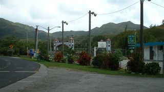 河口近くのユニークな橋