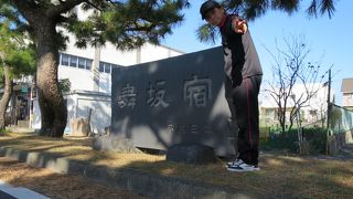 松並木が今も残っています！