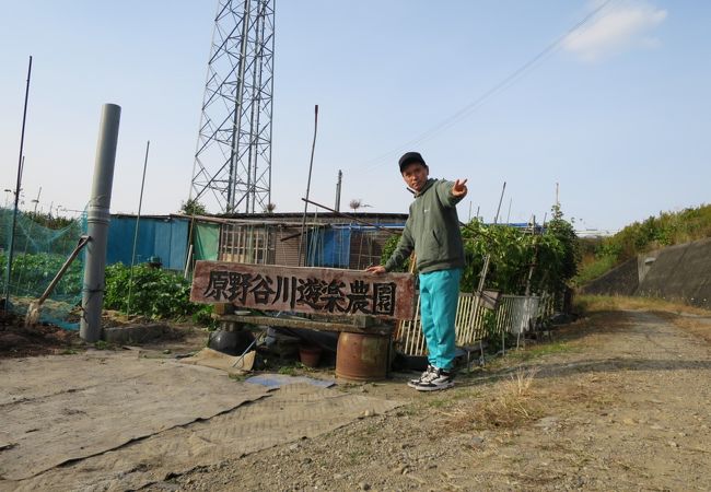 原野谷川遊楽農園