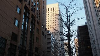 おしゃれなお店が並んでいます