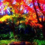江戸東京今昔散歩!　広重の 絵本江戸土産 にも描かれた 紅葉の名所・・ 名主の滝公園