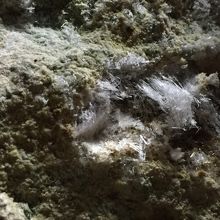 塩の結晶です。