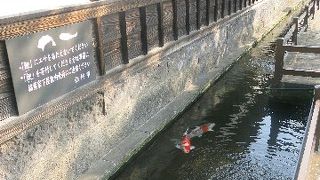 臼杵城のお膝元