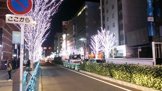 2015はかた駅前通りのイルミネーション～歩道側に白の電球で飾られた樹々が連なるも人々の関心は薄い？～