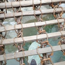 スケルトン！！