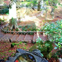 山頂からの景色