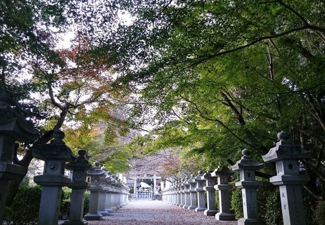 紅葉もおすすめの神社さん!!