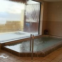 内湯の窓は汚れで富士山は良く見えません。