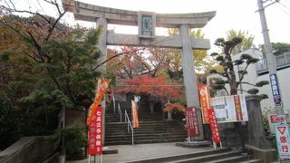 紅葉八幡宮　紅葉がきれいでした