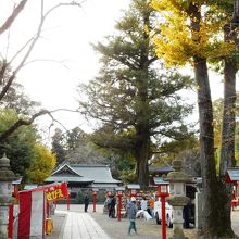 秋は紅葉も綺麗。