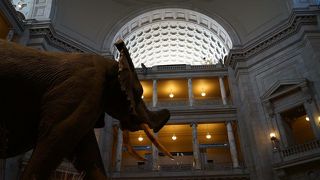 とても素晴らしい