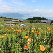 山頂からの風景