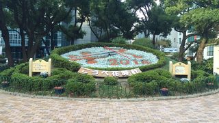 きれいな花時計