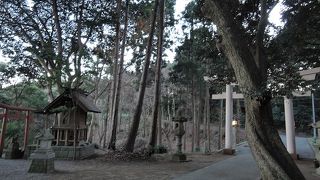 丘の上にある神社