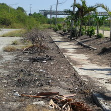 マプタプット駅前の道路の様子です。ゴミが散乱しています。