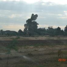 原っぱの中に線路がひかれています。地元民は鉄道を使いません。