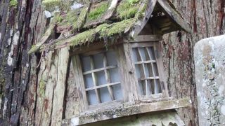 【高野山】奥の院は遠かった