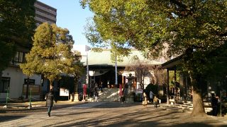 この界隈でも随一の大きさの神社