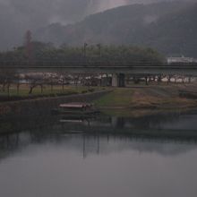 屋形船が停泊していました