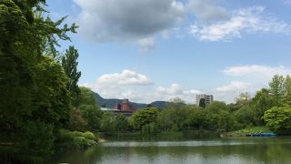 朝の散歩にぴったり