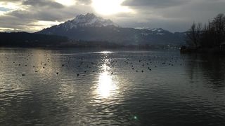 まさにスイス！