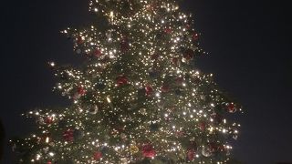 大人のイルミネーション