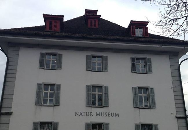 昆虫嫌いなので・・・