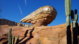 ラジエータースプリングスが楽しい