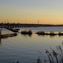 北浦と神宮橋