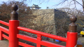 天守閣の上の部分しか見えません